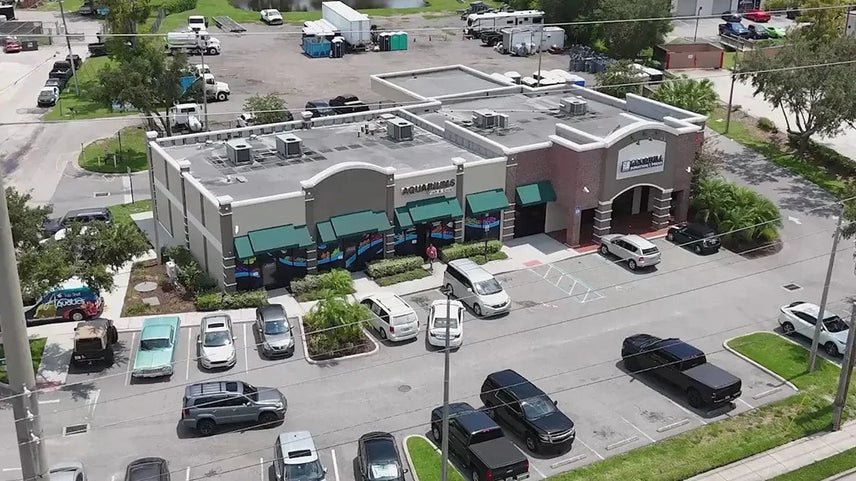 Vibrant Reefs, Expertly Cultivated