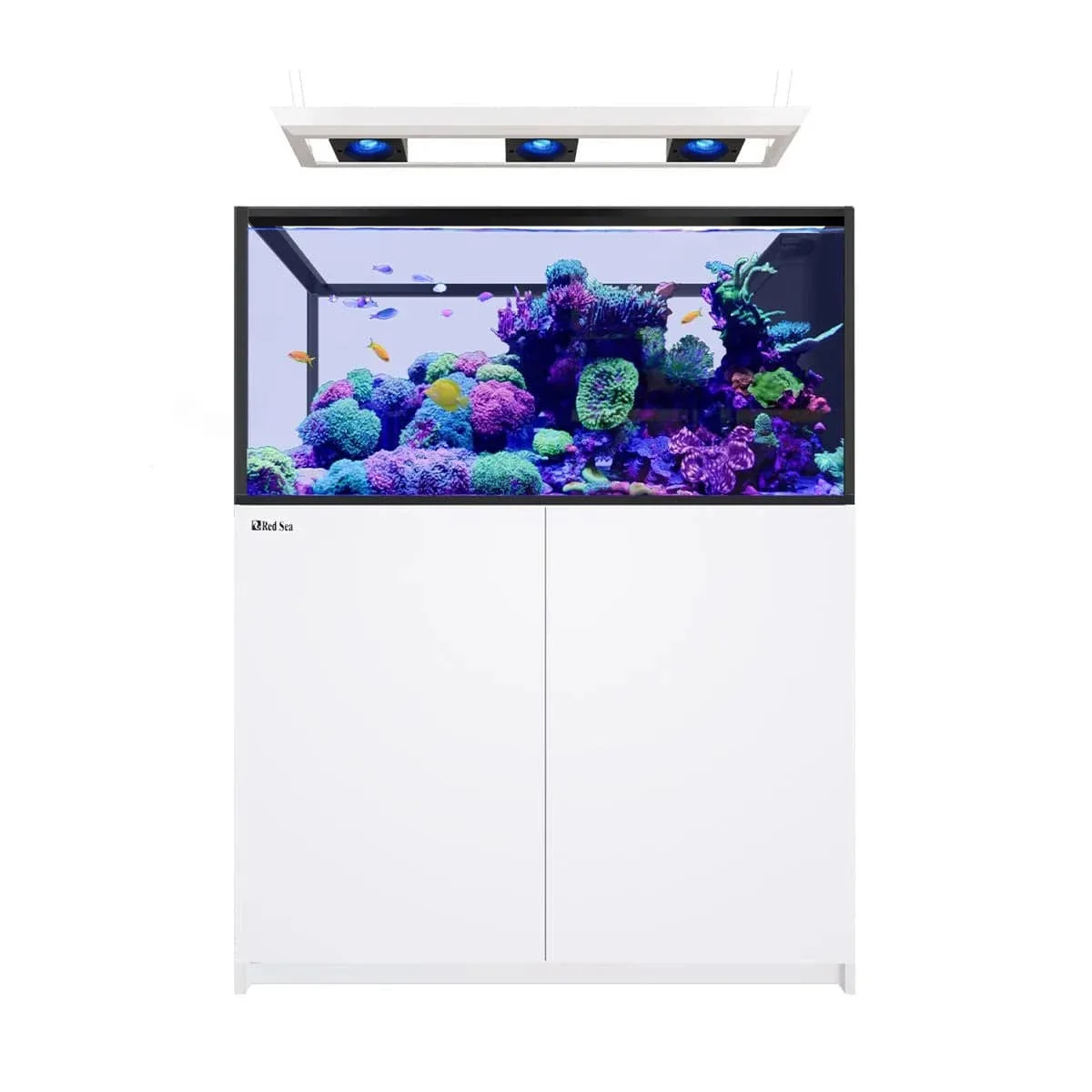 REEFER Deluxe Peninsula 500 G3 (137.1 Gal) (incl. 3 x ReefLED 115) - Red Sea - Image 3
